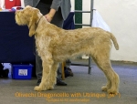 Dateiname=O-Dragoncello.jpg
Dateigröße=43KB
Abmessungen: 550x418
hinzugefügt am: 14. September 2009 O-Dragoncello.jpg