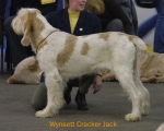 Filename=W-CrackerJack.jpg
Filesize=40KiB
Dimensions=550x440
Date added=Sep 14, 2009 W-CrackerJack.jpg