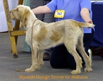 Filename=W-DesignSecret.jpg
Filesize=57KiB
Dimensions=550x434
Date added=Sep 14, 2009 W-DesignSecret.jpg