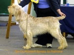 Filename=W-Xpress.jpg
Filesize=55KiB
Dimensions=550x407
Date added=Sep 14, 2009 W-Xpress.jpg