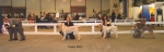 Filename=Puppy-Bitch.jpg
Filesize=66KiB
Dimensions=1132x366
Date added=Sep 14, 2009 Puppy-Bitch.jpg