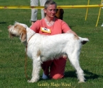 Filename=G-MagicWand.jpg
Filesize=48KiB
Dimensions=550x472
Date added=Sep 14, 2009 G-MagicWand.jpg