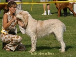 Filename=I-Massimiliano.jpg
Filesize=49KiB
Dimensions=550x416
Date added=Sep 14, 2009 I-Massimiliano.jpg