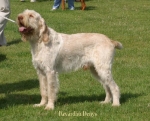 Filename=K-Denys.jpg
Filesize=52KiB
Dimensions=550x445
Date added=Sep 14, 2009 K-Denys.jpg