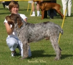 Filename=K-Whes.jpg
Filesize=49KiB
Dimensions=550x494
Date added=Sep 14, 2009 K-Whes.jpg