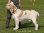 Filename=W-CrackerJack.jpg
Filesize=55KiB
Dimensions=550x417
Date added=Sep 14, 2009 W-CrackerJack.jpg