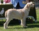 Filename=W-Devine.jpg
Filesize=45KiB
Dimensions=550x446
Date added=Sep 14, 2009 W-Devine.jpg