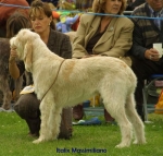Filename=I-Massimiliano.jpg
Filesize=47KiB
Dimensions=550x526
Date added=Sep 14, 2009 I-Massimiliano.jpg