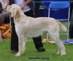 Filename=K-Denys.jpg
Filesize=55KiB
Dimensions=550x459
Date added=Sep 14, 2009 K-Denys.jpg