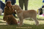 Filename=B-Buick.jpg
Filesize=62KiB
Dimensions=550x367
Date added=Sep 14, 2009 B-Buick.jpg
