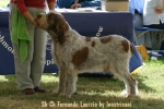 Filename=F-Laerzio.jpg
Filesize=60KiB
Dimensions=550x367
Date added=Sep 14, 2009 F-Laerzio.jpg