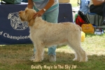 Filename=G-Magic.jpg
Filesize=63KiB
Dimensions=550x367
Date added=Sep 14, 2009 G-Magic.jpg