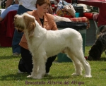 Filename=B-Alfetta.jpg
Filesize=67KiB
Dimensions=550x448
Date added=Sep 14, 2009 B-Alfetta.jpg