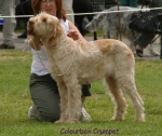 Filename=C-Crumpet.jpg
Filesize=59KiB
Dimensions=550x463
Date added=Sep 14, 2009 C-Crumpet.jpg