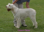 Filename=C-Noney.jpg
Filesize=60KiB
Dimensions=550x402
Date added=Sep 14, 2009 C-Noney.jpg