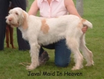 Filename=J MaidInHeaven.jpg
Filesize=46KiB
Dimensions=550x422
Date added=Sep 14, 2009 J MaidInHeaven.jpg