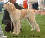Filename=L ColdCut.jpg
Filesize=61KiB
Dimensions=550x467
Date added=Sep 14, 2009 L ColdCut.jpg