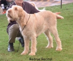 Filename=R Recital.jpg
Filesize=62KiB
Dimensions=550x462
Date added=Sep 14, 2009 R Recital.jpg