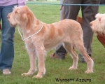Filename=W Azzura.jpg
Filesize=60KiB
Dimensions=550x443
Date added=Sep 14, 2009 W Azzura.jpg