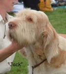 Filename=W CrackerJack-2.jpg
Filesize=56KiB
Dimensions=550x613
Date added=Sep 14, 2009 W CrackerJack-2.jpg