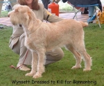 Filename=W DressToKill.jpg
Filesize=67KiB
Dimensions=550x454
Date added=Sep 14, 2009 W DressToKill.jpg