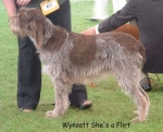 Filename=W ShesAFlirt.jpg
Filesize=66KiB
Dimensions=550x446
Date added=Sep 14, 2009 W ShesAFlirt.jpg