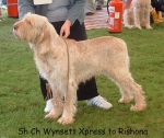 Filename=W Xpress.jpg
Filesize=74KiB
Dimensions=550x464
Date added=Sep 14, 2009 W Xpress.jpg