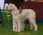 Filename=C Noney.jpg
Filesize=67KiB
Dimensions=550x441
Date added=Sep 14, 2009 C Noney.jpg