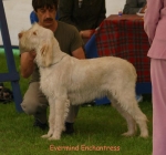 Filename=E Enchantress.jpg
Filesize=57KiB
Dimensions=550x515
Date added=Sep 14, 2009 E Enchantress.jpg