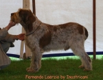 Filename=F Laerzio.jpg
Filesize=57KiB
Dimensions=550x429
Date added=Sep 14, 2009 F Laerzio.jpg