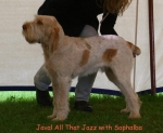 Filename=J AllThatJazz.jpg
Filesize=57KiB
Dimensions=550x451
Date added=Sep 14, 2009 J AllThatJazz.jpg