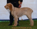 Filename=O BreathOfLife.jpg
Filesize=55KiB
Dimensions=550x426
Date added=Sep 14, 2009 O BreathOfLife.jpg