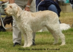 Filename=S-Alabama.jpg
Filesize=59KiB
Dimensions=550x397
Date added=Sep 14, 2009 S-Alabama.jpg