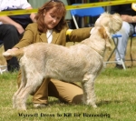 Filename=W-DressToKill.jpg
Filesize=49KiB
Dimensions=550x488
Date added=Sep 14, 2009 W-DressToKill.jpg