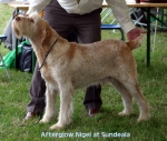 Filename=A-Nigel.jpg
Filesize=51KiB
Dimensions=550x468
Date added=Sep 14, 2009 A-Nigel.jpg
