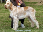 Filename=C-Crumpet.jpg
Filesize=47KiB
Dimensions=550x411
Date added=Sep 14, 2009 C-Crumpet.jpg