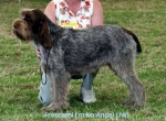 Filename=F-ImNoAngel.jpg
Filesize=48KiB
Dimensions=550x406
Date added=Sep 14, 2009 F-ImNoAngel.jpg