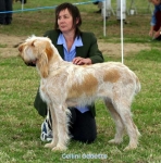 Filename=G-Oddette.jpg
Filesize=50KiB
Dimensions=550x554
Date added=Sep 14, 2009 G-Oddette.jpg
