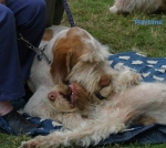 Filename=Playtime-1.jpg
Filesize=49KiB
Dimensions=550x494
Date added=Sep 14, 2009 Playtime-1.jpg