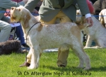 Filename=A-Nigel.jpg
Filesize=51KiB
Dimensions=550x405
Date added=Sep 14, 2009 A-Nigel.jpg