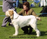 Filename=B-Alfetta.jpg
Filesize=54KiB
Dimensions=550x463
Date added=Sep 14, 2009 B-Alfetta.jpg