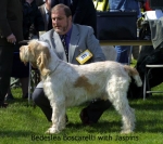 Filename=B-Boscarelli.jpg
Filesize=52KiB
Dimensions=550x491
Date added=Sep 14, 2009 B-Boscarelli.jpg