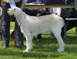 Filename=B-HighHopes.jpg
Filesize=48KiB
Dimensions=550x423
Date added=Sep 14, 2009 B-HighHopes.jpg