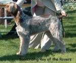 Filename=B-RoyOfTheRovers.jpg
Filesize=59KiB
Dimensions=550x458
Date added=Sep 14, 2009 B-RoyOfTheRovers.jpg