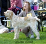 Filename=C-Crumpet.jpg
Filesize=47KiB
Dimensions=550x535
Date added=Sep 14, 2009 C-Crumpet.jpg