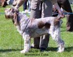 Nom du fichier=M-Cuba.jpg
Taille du fichier=61Ko
Dimensions : 550x433
Ajouté le : 14 Septembre 2009 M-Cuba.jpg