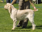 Filename=M-MoonRiver.jpg
Filesize=60KiB
Dimensions=550x413
Date added=Sep 14, 2009 M-MoonRiver.jpg