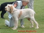 Filename=A Mughetto.jpg
Filesize=75KiB
Dimensions=600x449
Date added=Sep 14, 2009 A Mughetto.jpg