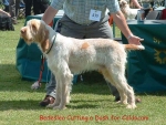 Filename=B CuttingADash.jpg
Filesize=80KiB
Dimensions=600x452
Date added=Sep 14, 2009 B CuttingADash.jpg