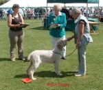 Filename=BestPuppy.jpg
Filesize=93KiB
Dimensions=600x530
Date added=Sep 14, 2009 BestPuppy.jpg